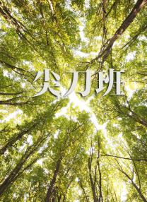 久草新视频